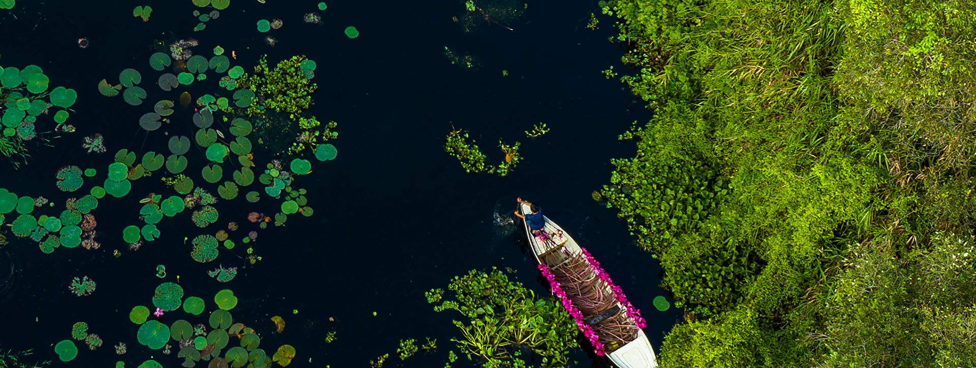 fishing boat on the rover with lillies