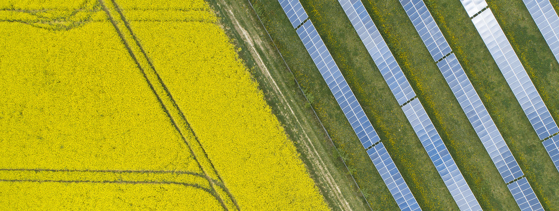 sustainability banner
