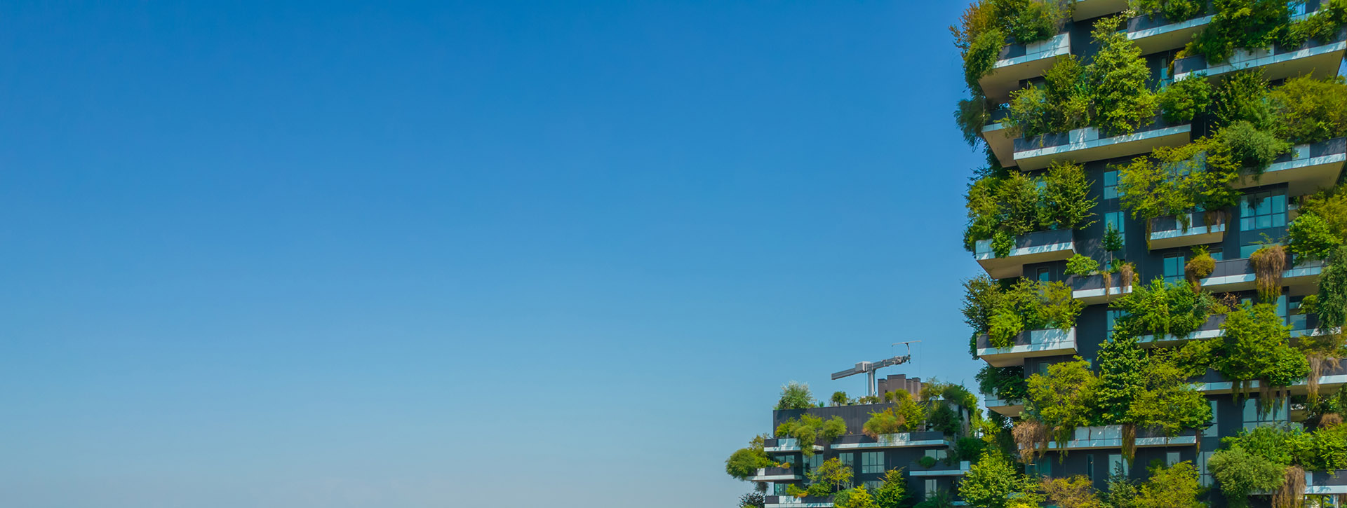 Sustainability_banner
