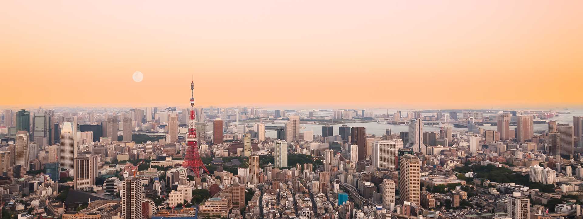 Tokyo Skyline