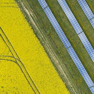 Sustainability